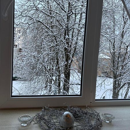 Cozy Studio Apartment In The Center Of Rīga Exterior foto